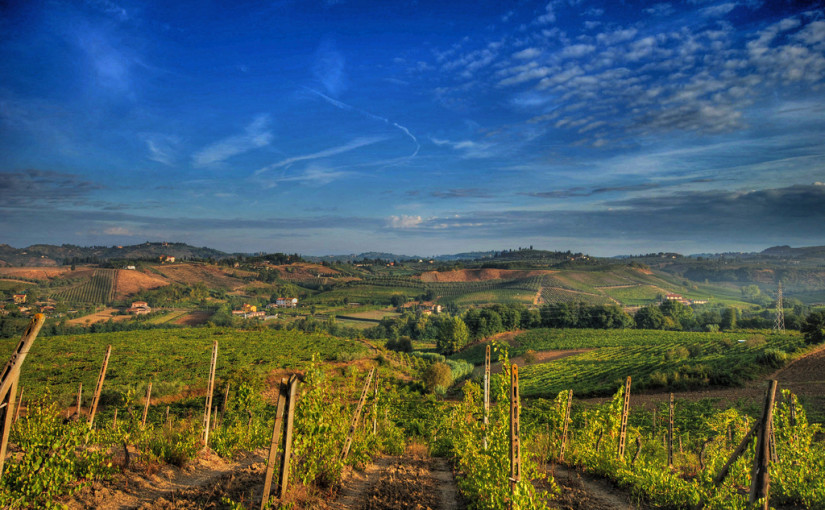 terroir, elementos del terroir