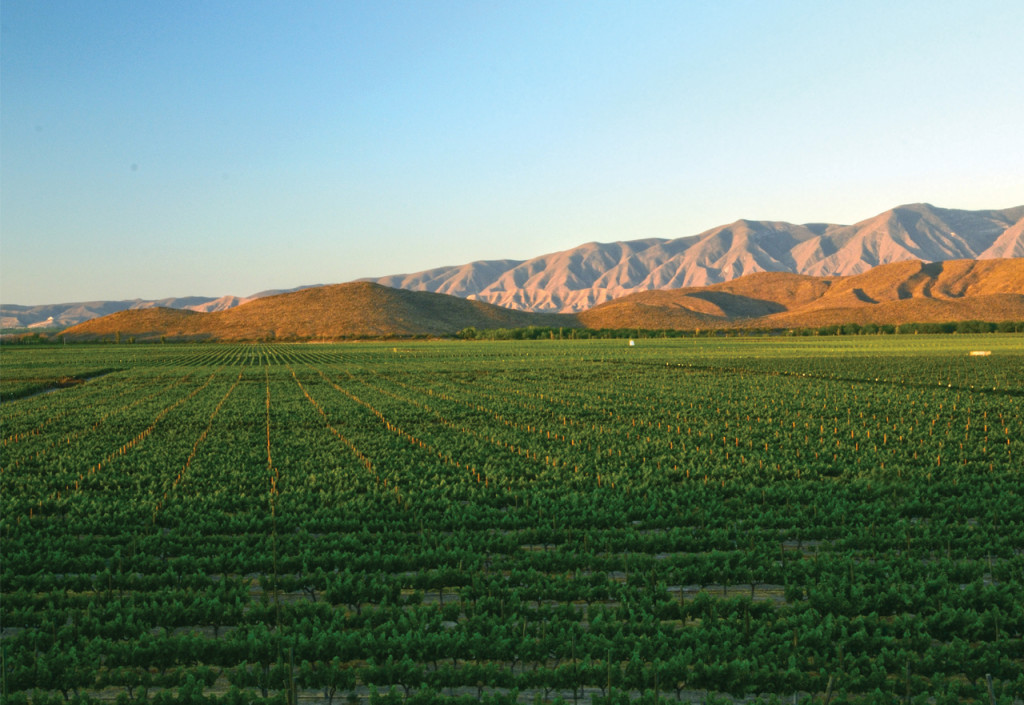 valle de parras cohahuila