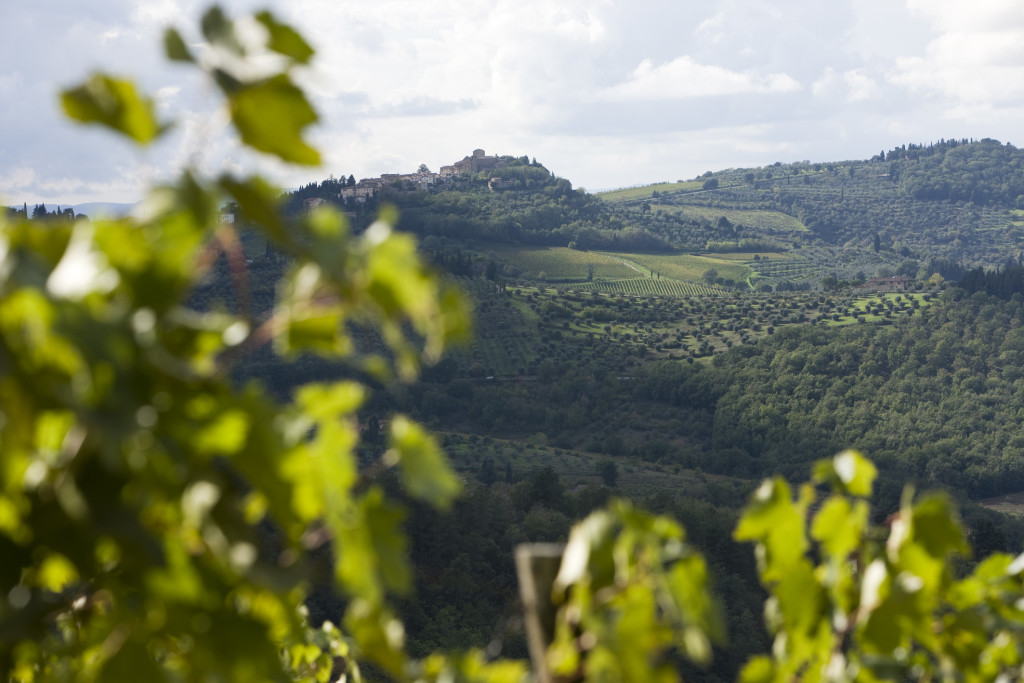 Lamole - origen del Chianti Clásico