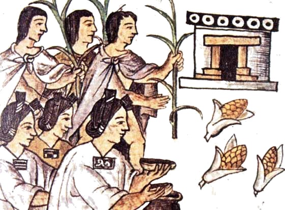 comida mayas