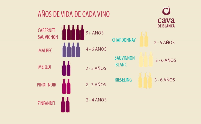 Duración de los Vinos