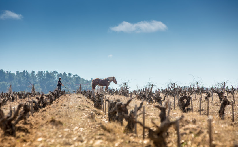 Torremilanos única en España