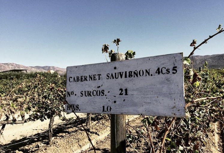 Ensamble un Vino para comprender el  Terroir